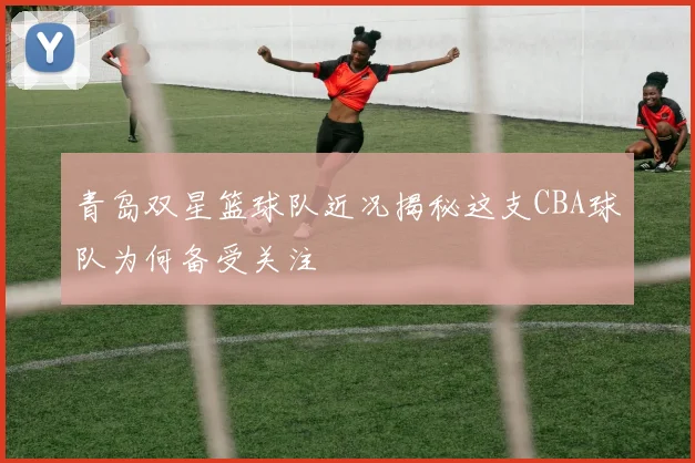 青岛双星篮球队近况揭秘这支CBA球队为何备受关注