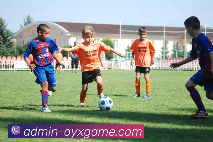 爱游戏平台生态图